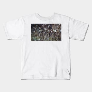 Winter Panicled Aster Kids T-Shirt